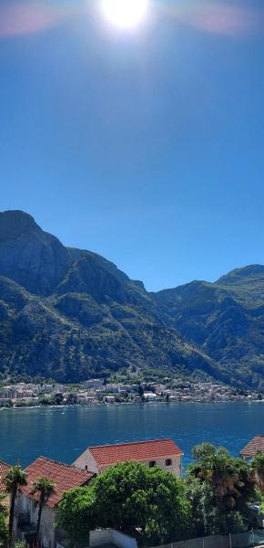 My roots apartment, Kotor